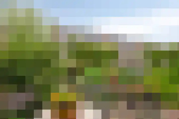 Platanenlaan 92 Nederhorst den Berg thumbnail 26