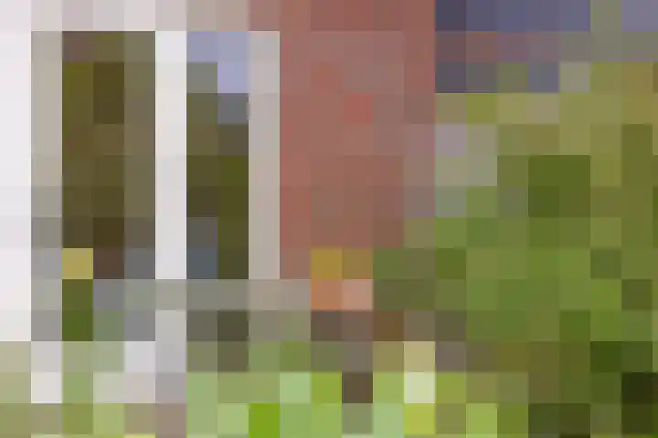Platanenlaan 92 Nederhorst den Berg thumbnail 27
