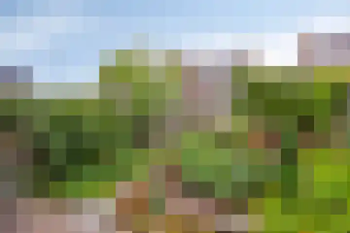 Platanenlaan 92 Nederhorst den Berg thumbnail 28