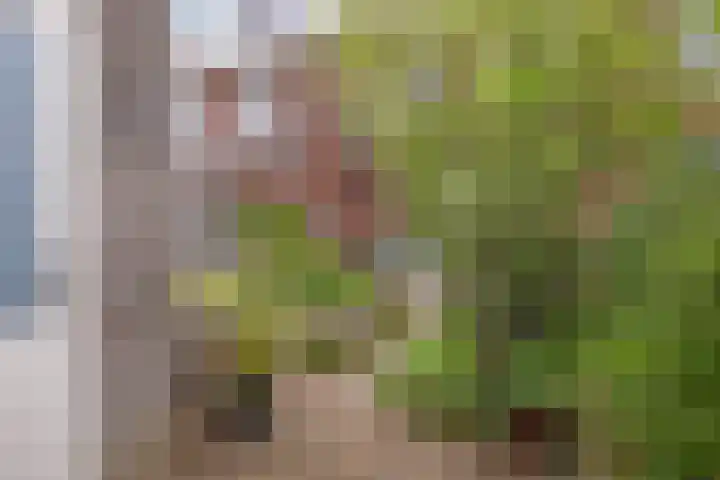 Platanenlaan 92 Nederhorst den Berg thumbnail 30