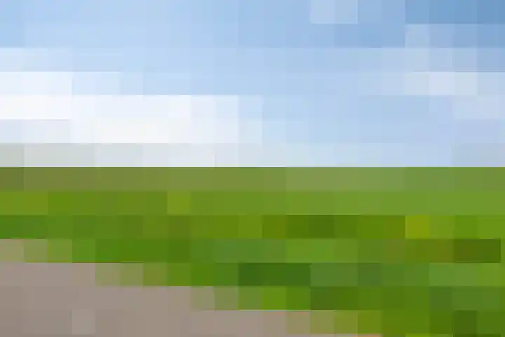 Platanenlaan 92 Nederhorst den Berg thumbnail 32