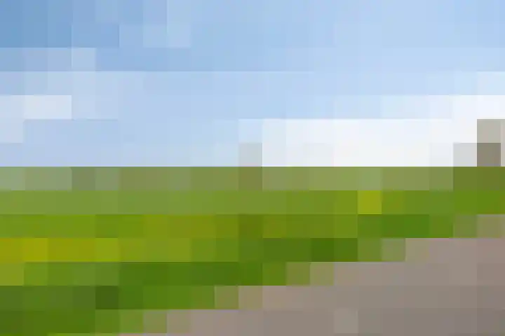 Platanenlaan 92 Nederhorst den Berg thumbnail 33