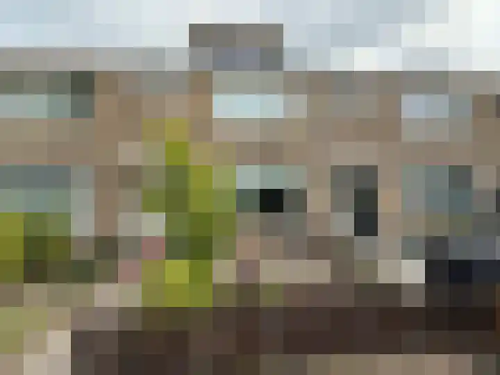 Platanenlaan 94 Heerhugowaard thumbnail 33