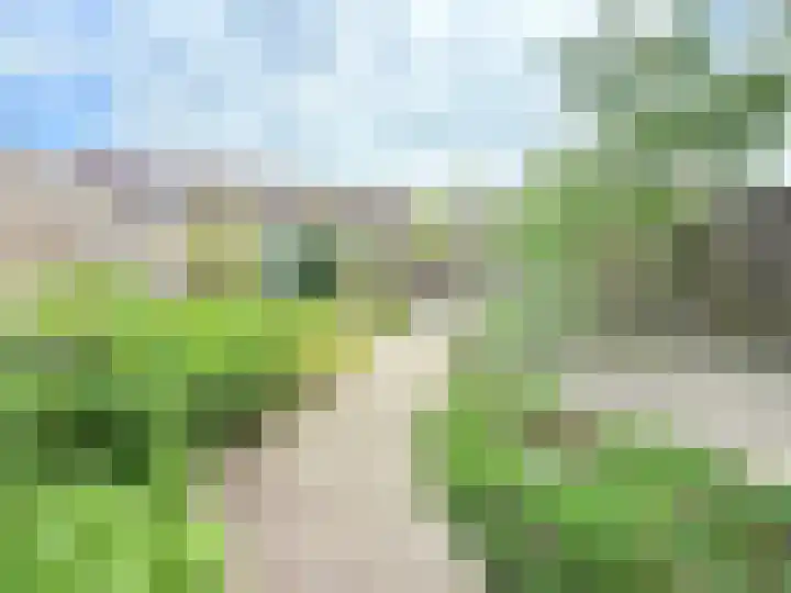 Platanenlaan 94 Heerhugowaard thumbnail 34
