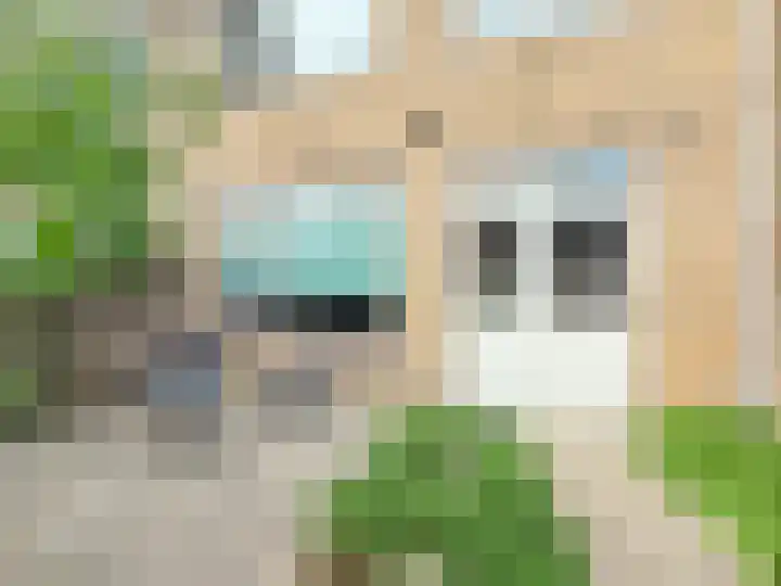 Platanenlaan 94 Heerhugowaard thumbnail 35