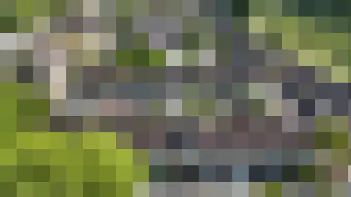 Platanenlaan 94 Heerhugowaard thumbnail 39