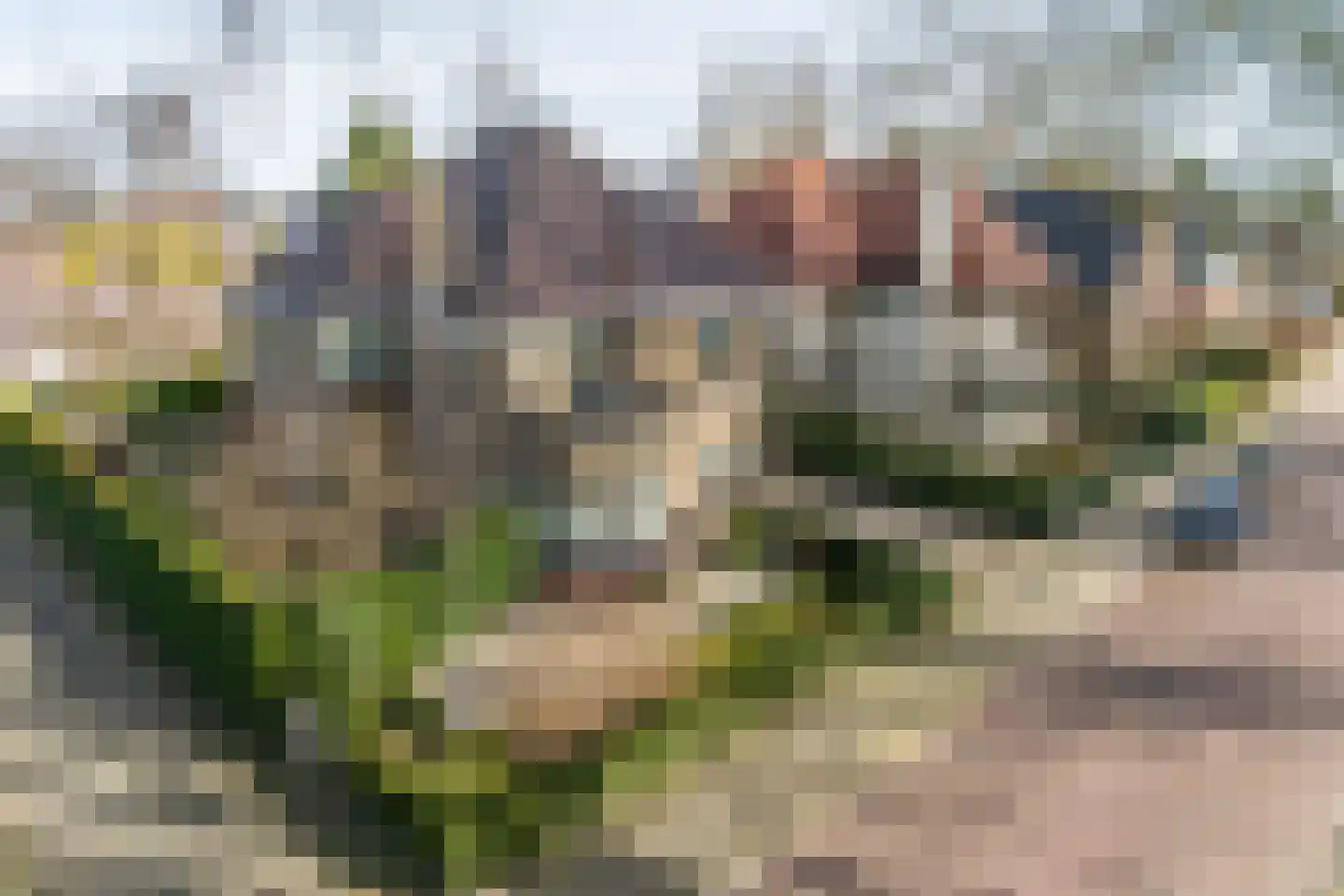 Platanenplein 10 Vriezenveen