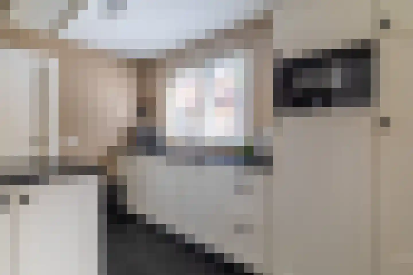 Platanenplein 10 Vriezenveen thumbnail 21