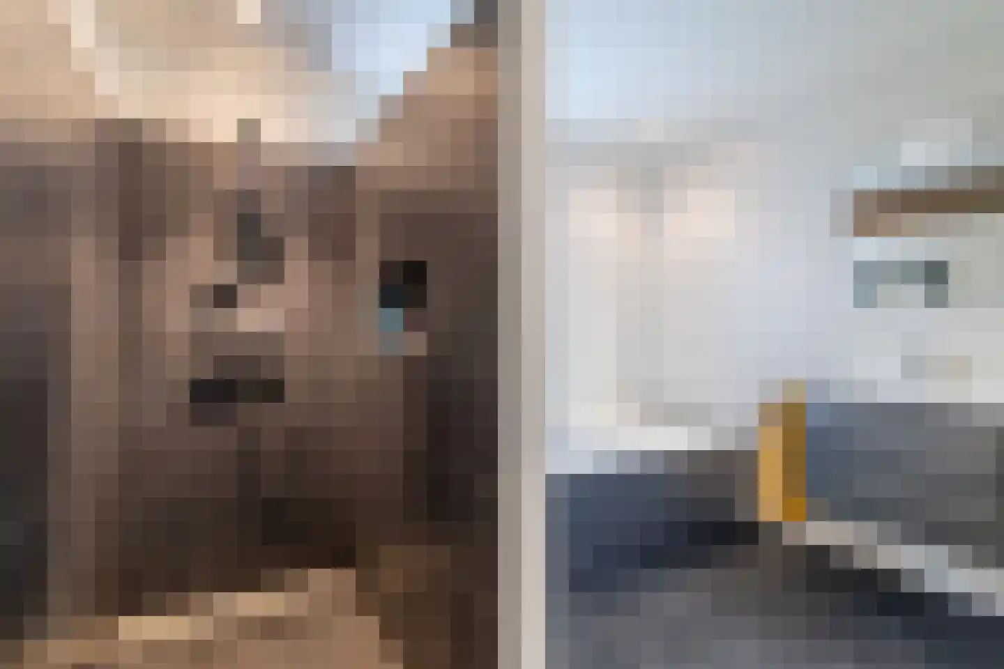 Platanenplein 10 Vriezenveen thumbnail 33