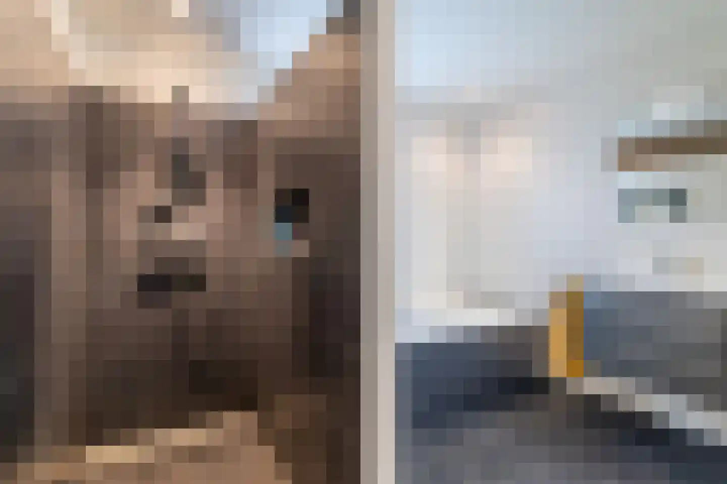 Platanenplein 10 Vriezenveen thumbnail 33