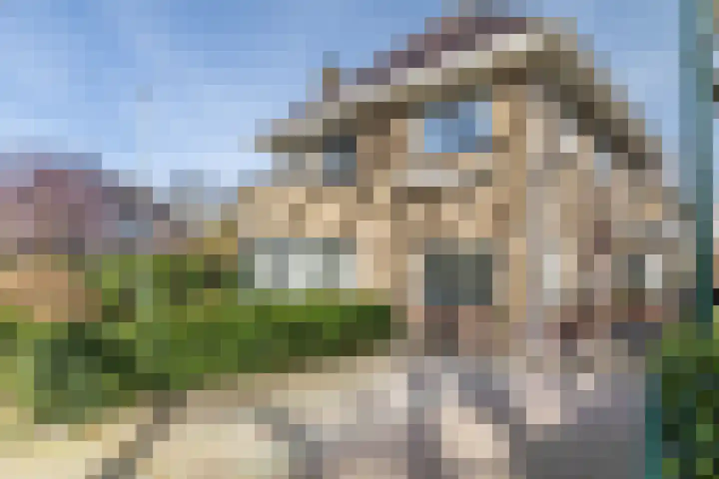 Platanenplein 10 Vriezenveen thumbnail 35