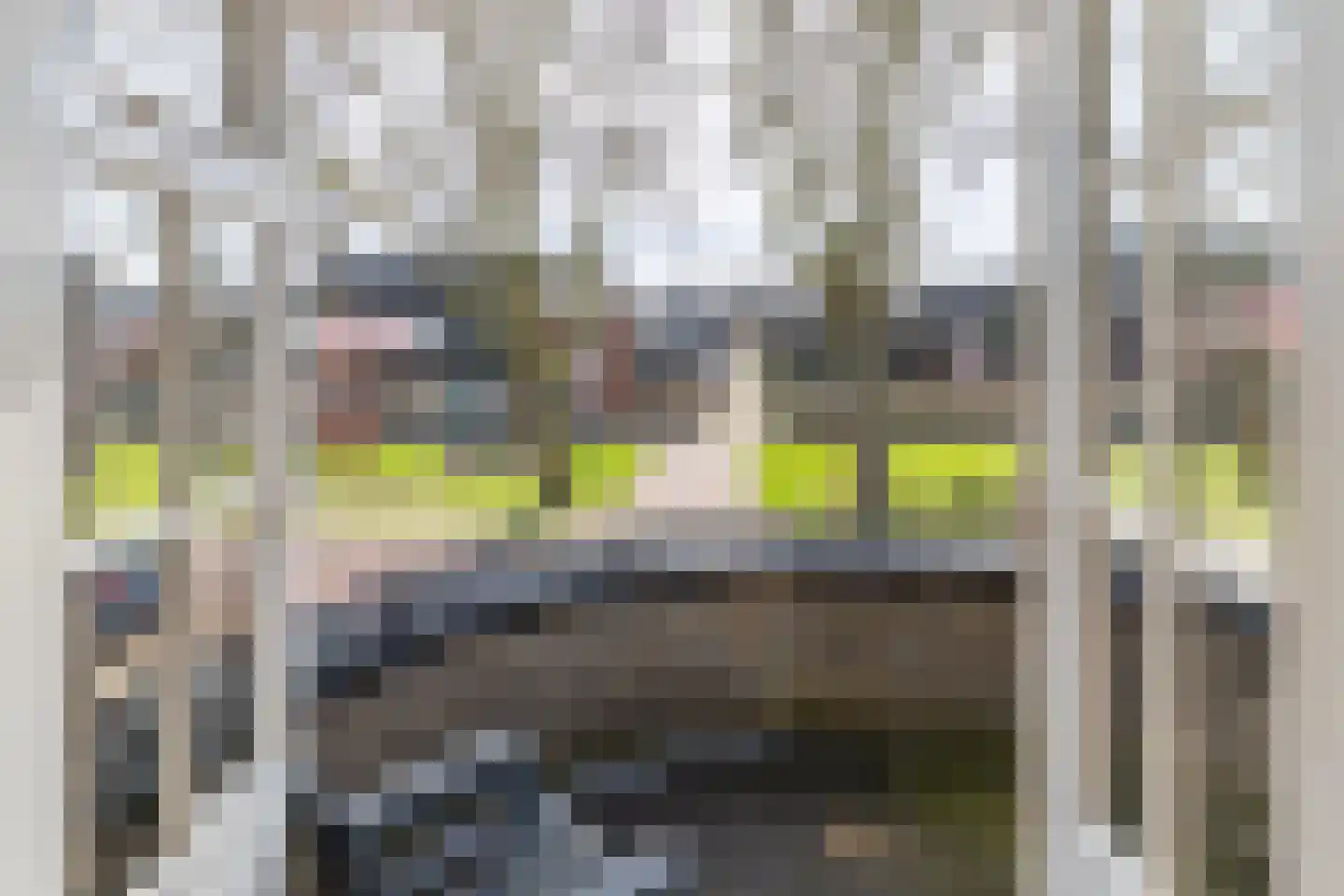 Platanenplein 10 Vriezenveen thumbnail 38