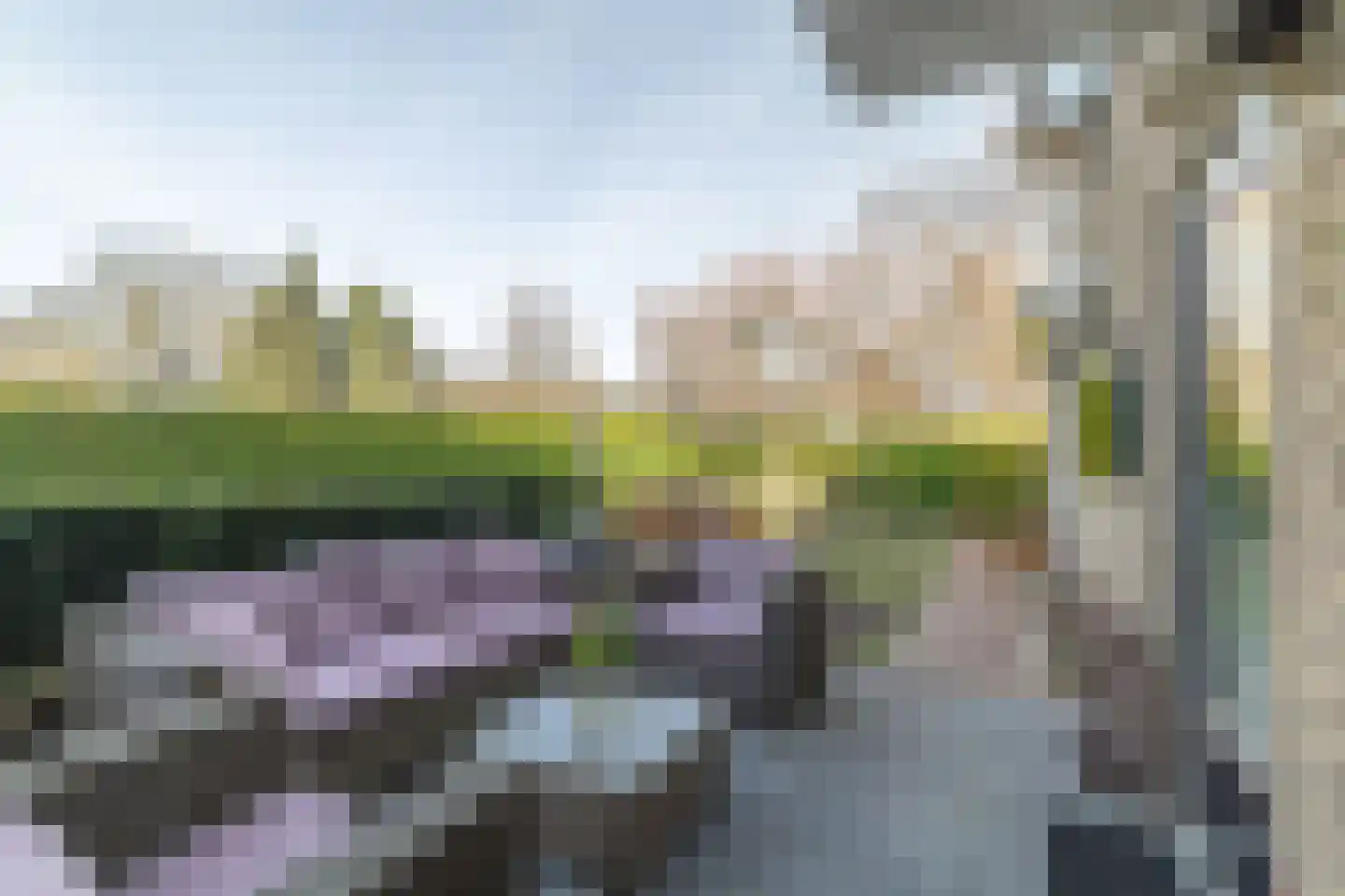 Platanenplein 10 Vriezenveen thumbnail 40