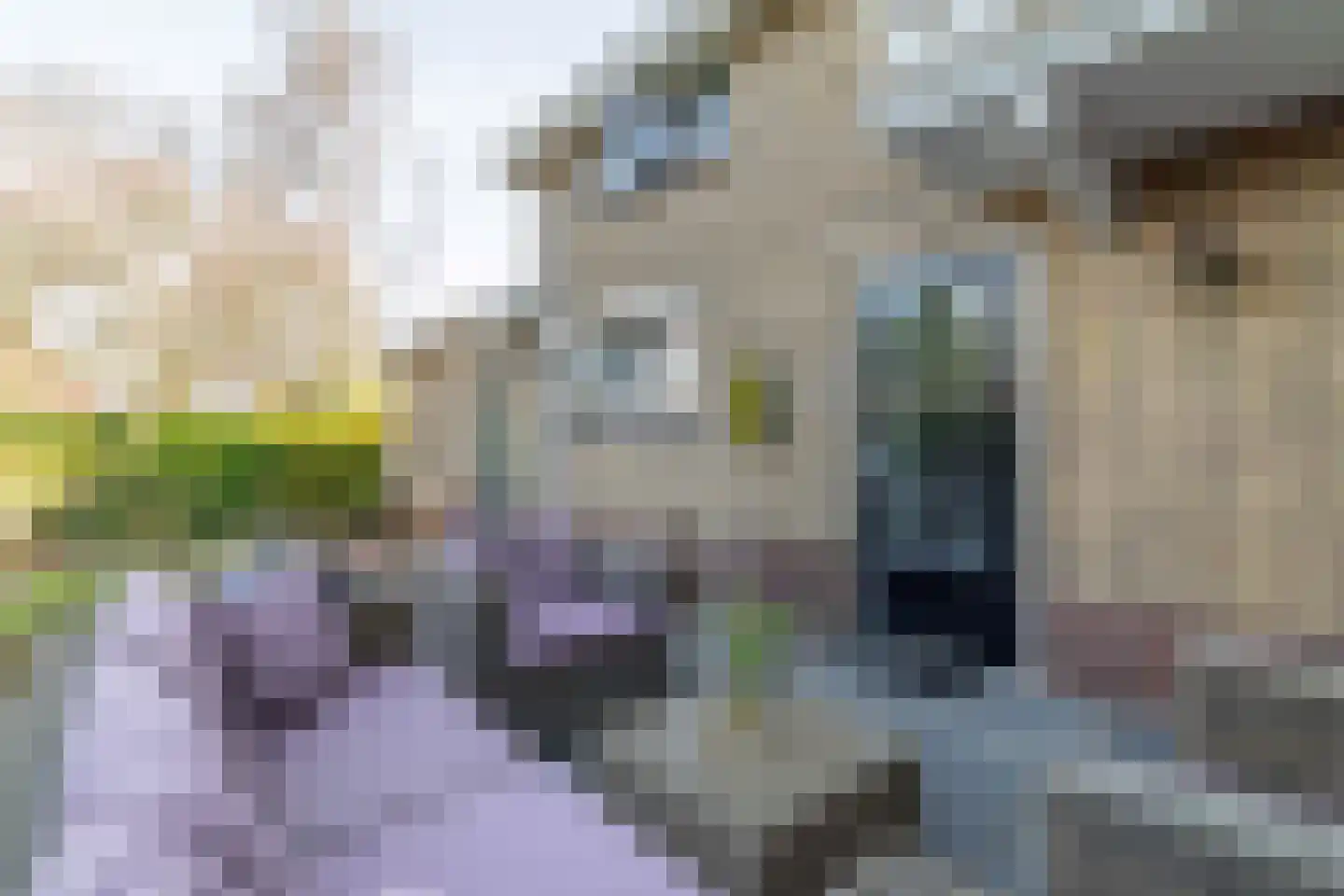 Platanenplein 10 Vriezenveen thumbnail 41
