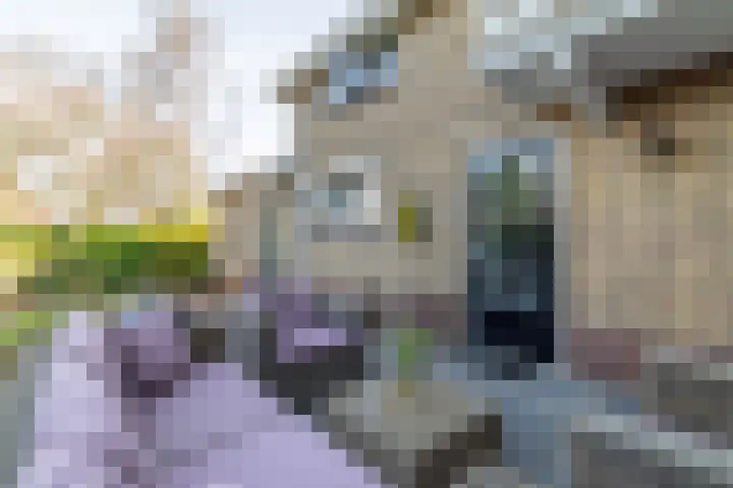 Platanenplein 10 Vriezenveen thumbnail 41