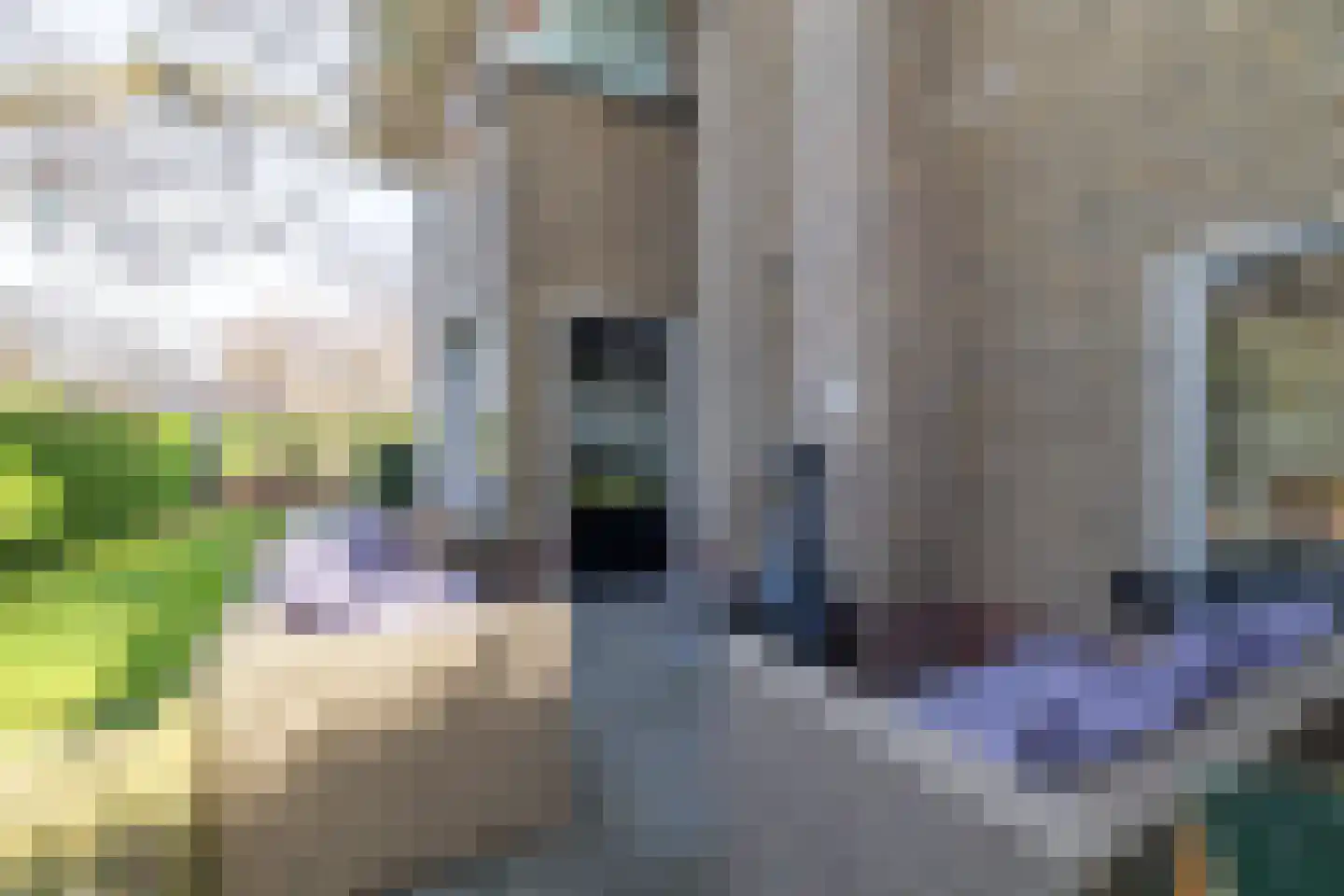 Platanenplein 10 Vriezenveen thumbnail 42
