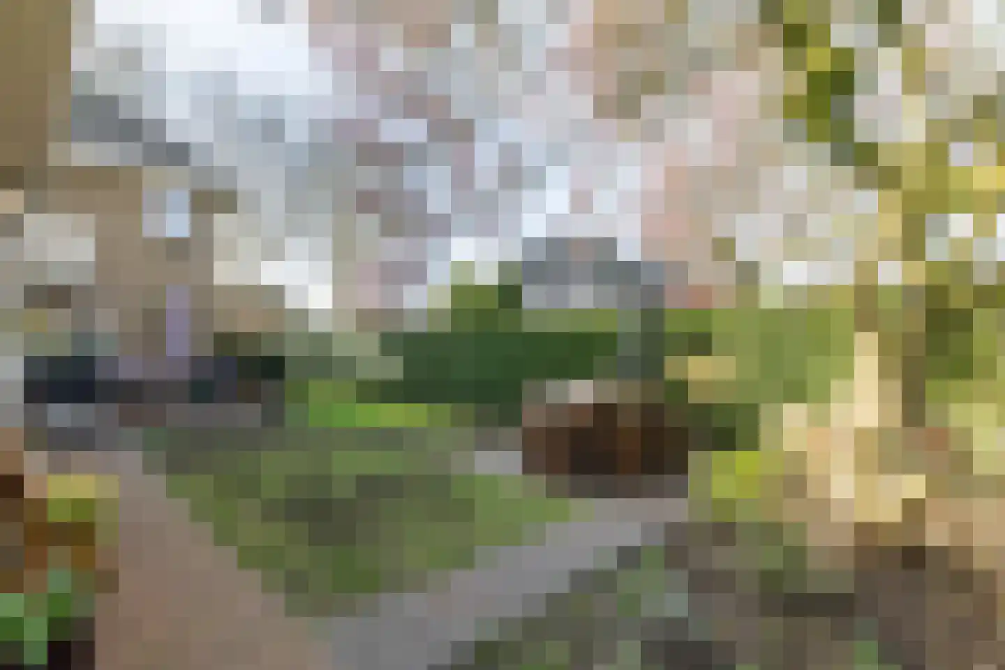 Platanenplein 10 Vriezenveen thumbnail 43