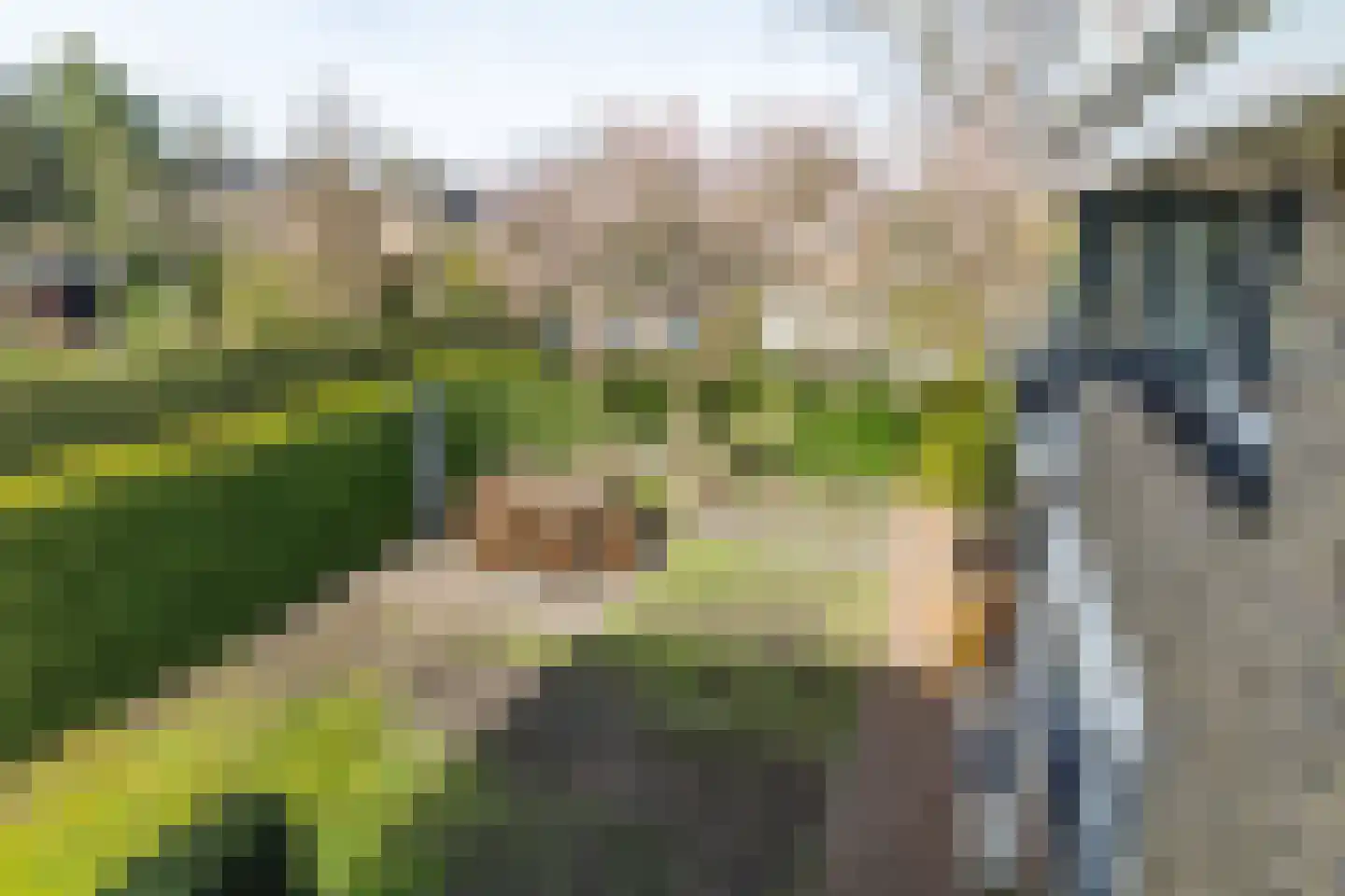 Platanenplein 10 Vriezenveen thumbnail 45