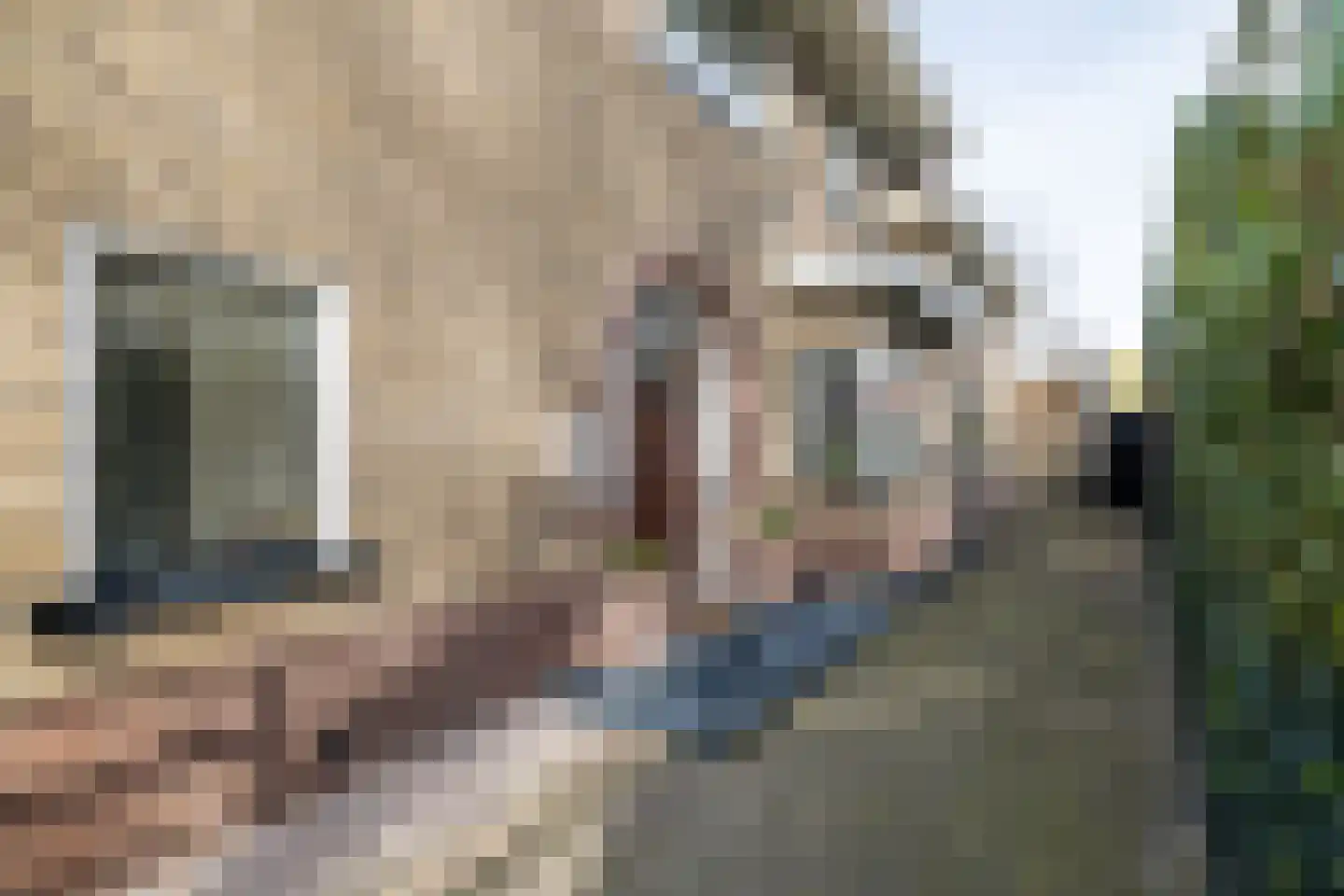 Platanenplein 10 Vriezenveen thumbnail 5