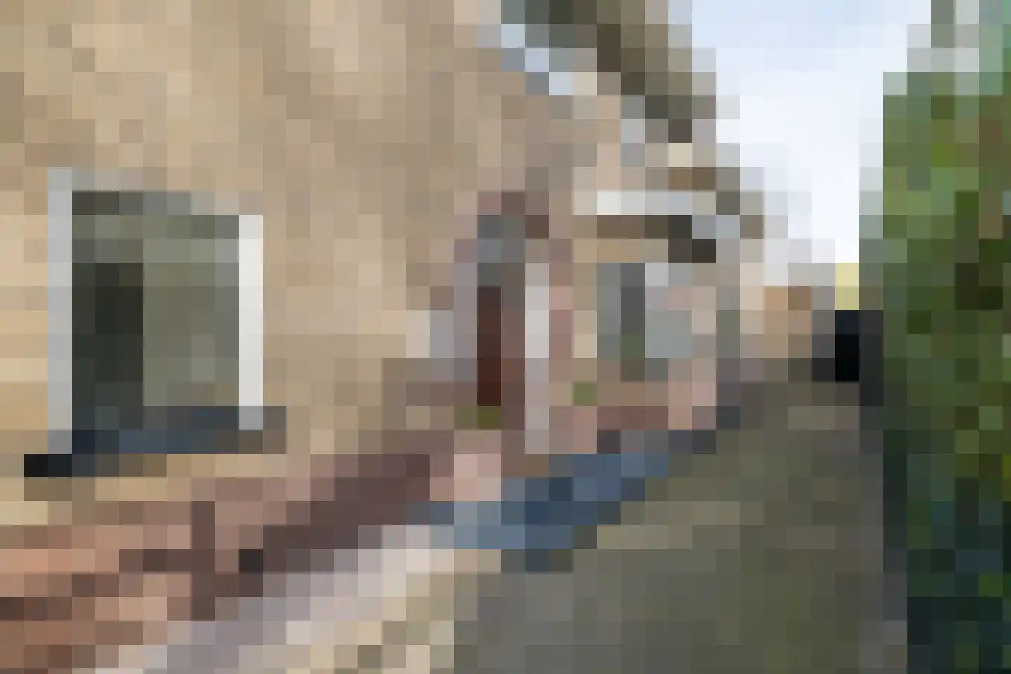 Platanenplein 10 Vriezenveen thumbnail 5