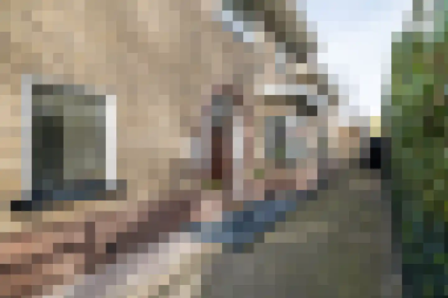 Platanenplein 10 Vriezenveen thumbnail 5