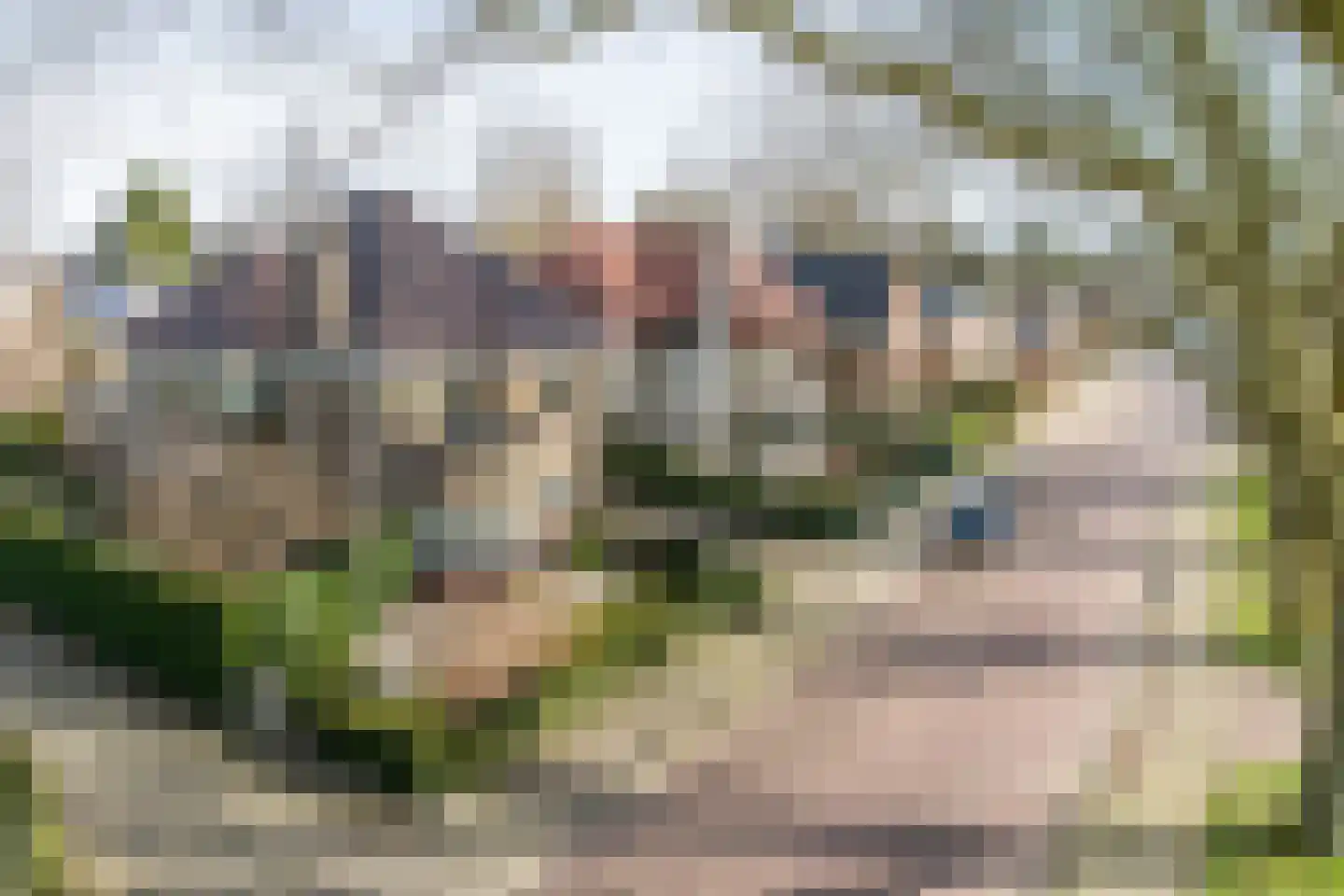Platanenplein 10 Vriezenveen thumbnail 50