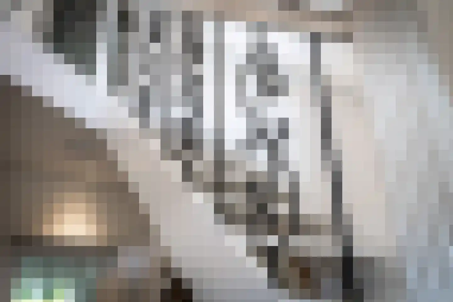 Platanenplein 10 Vriezenveen thumbnail 9