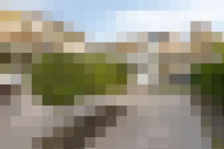 Platanenstraat 2 d Oost-Souburg thumbnail 31