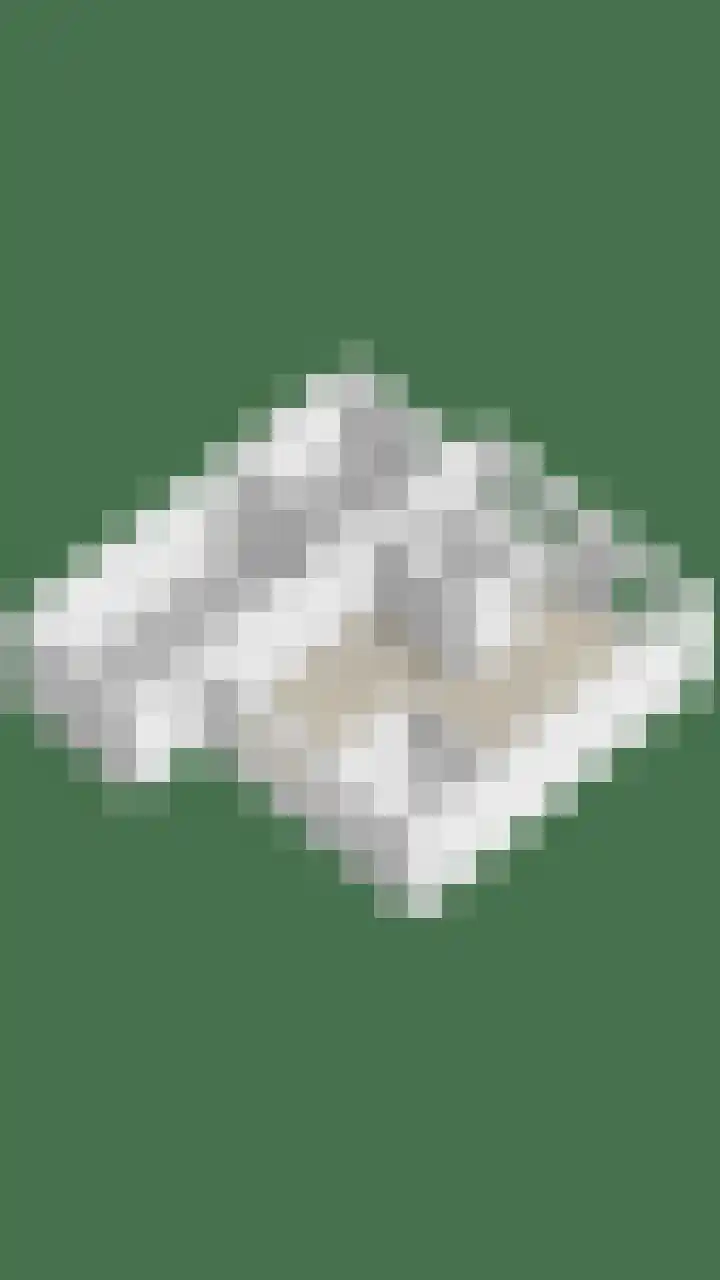Platanenstraat 2 d Oost-Souburg thumbnail 43
