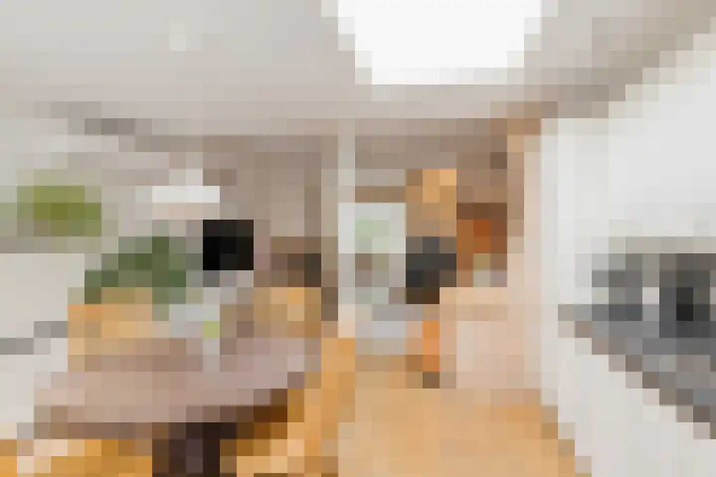 Platanenstraat 22 IJmuiden thumbnail 11