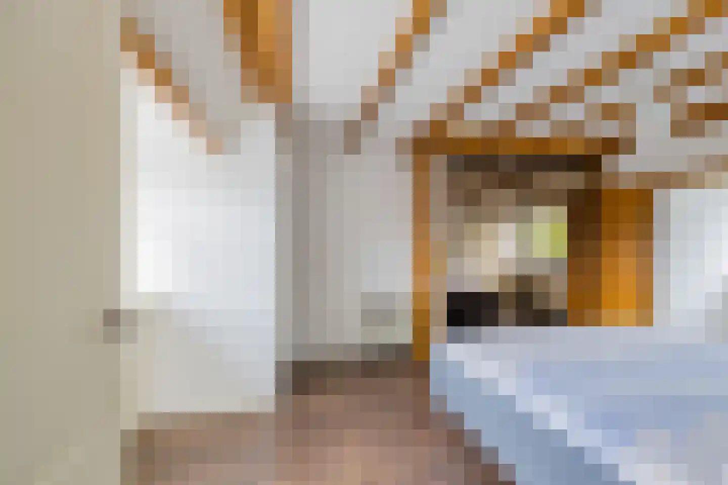 Platanenstraat 22 IJmuiden thumbnail 31
