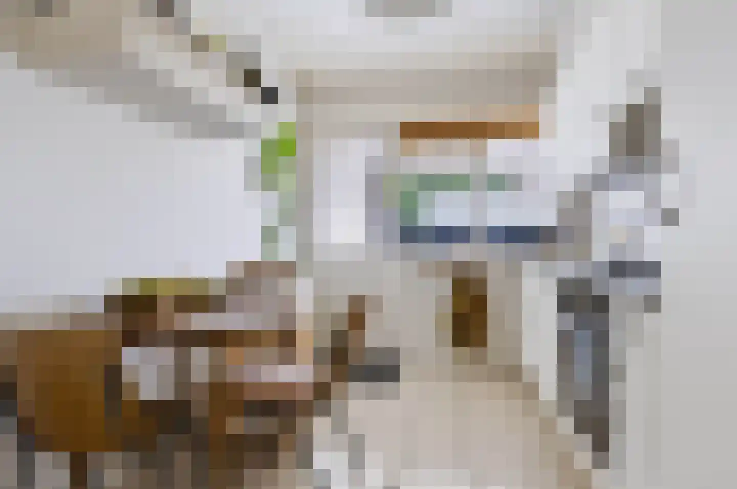 Platanenstraat 34 Zwartebroek thumbnail 11