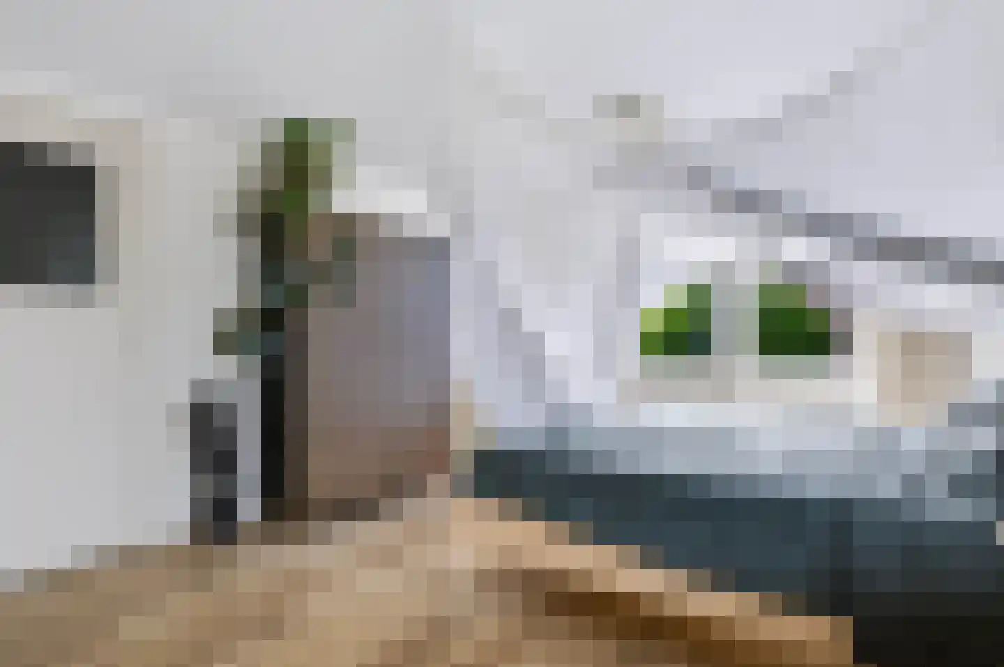 Platanenstraat 34 Zwartebroek thumbnail 16