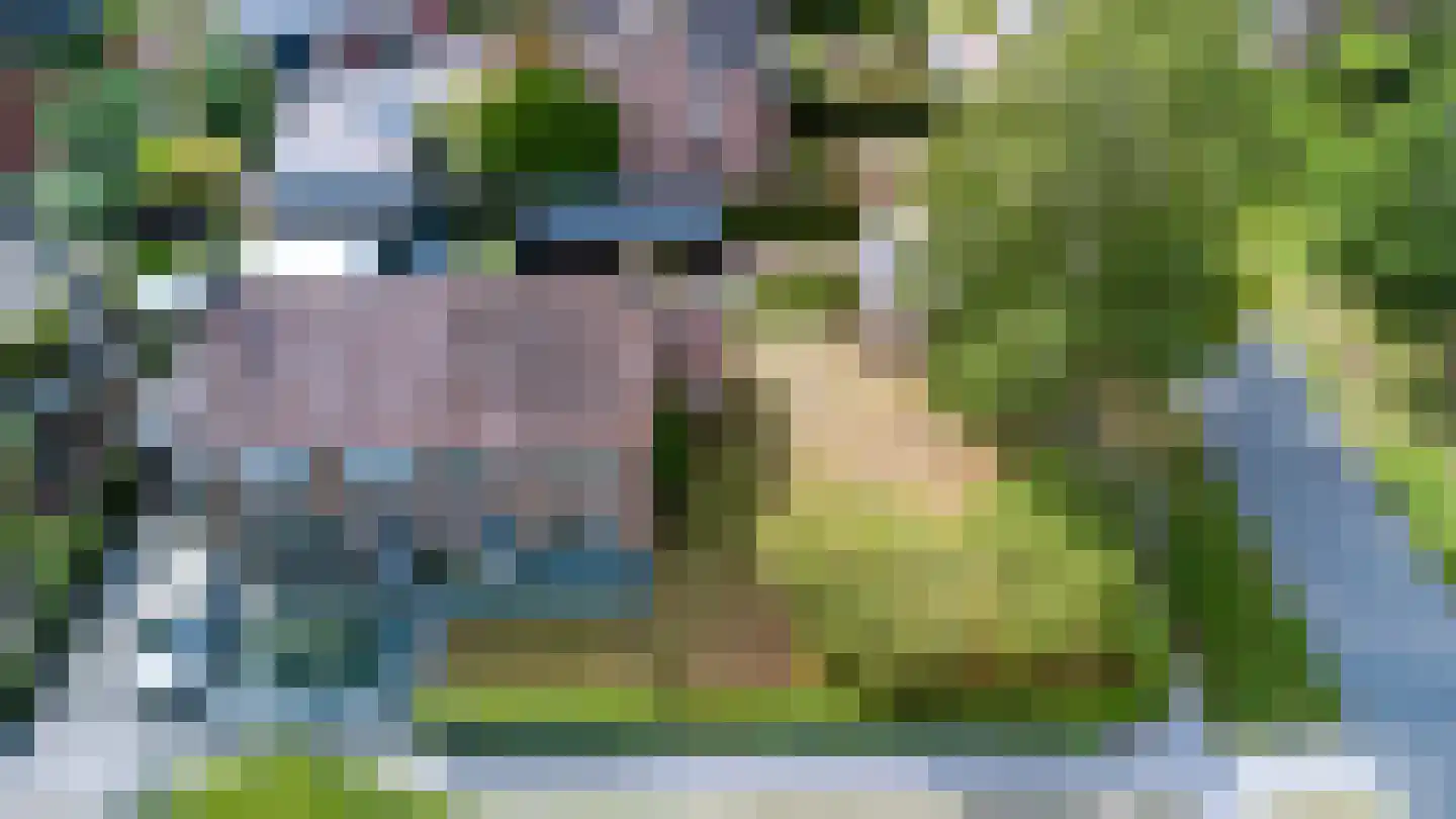 Platanenstraat 34 Zwartebroek thumbnail 33