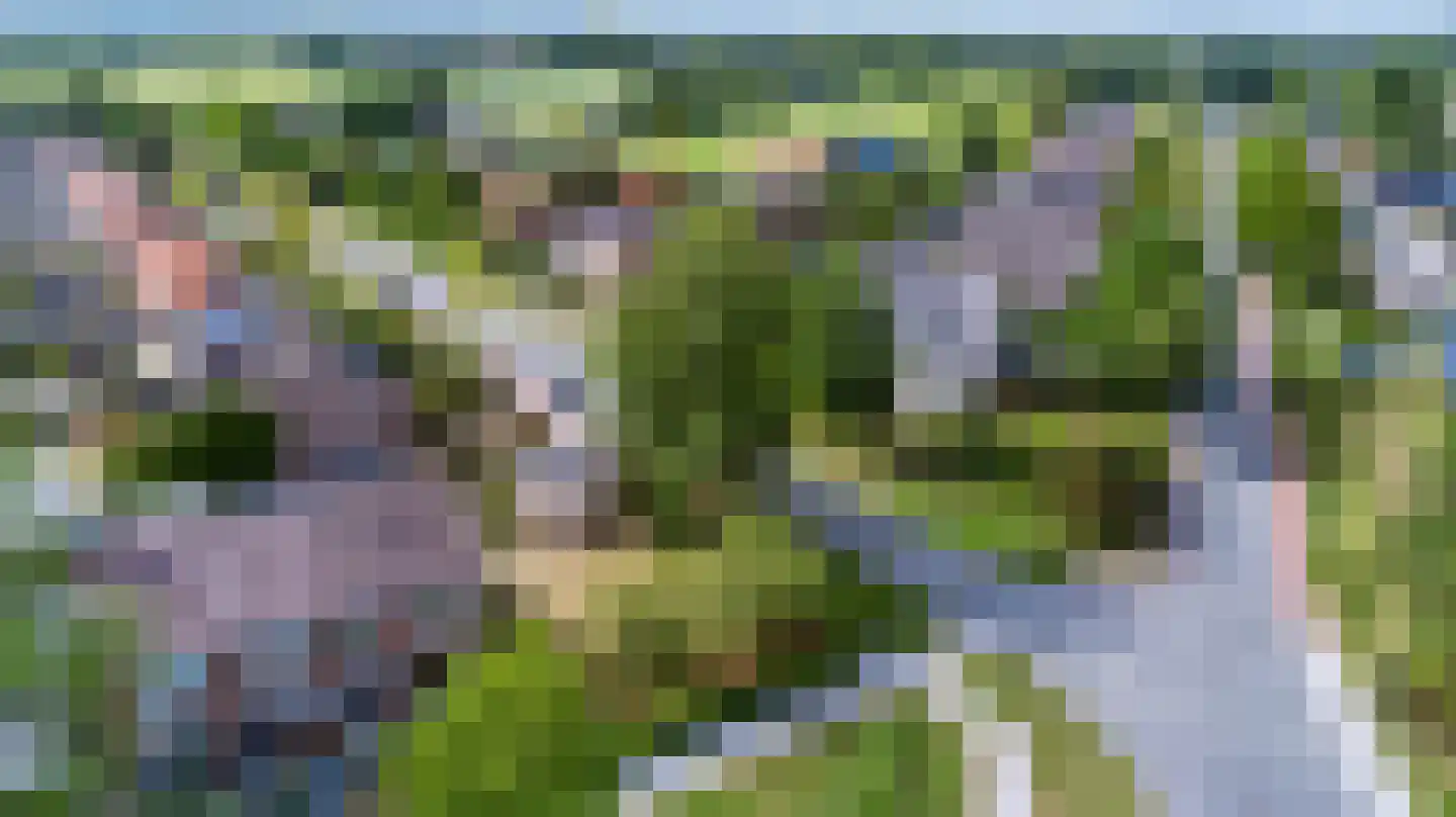 Platanenstraat 34 Zwartebroek thumbnail 34