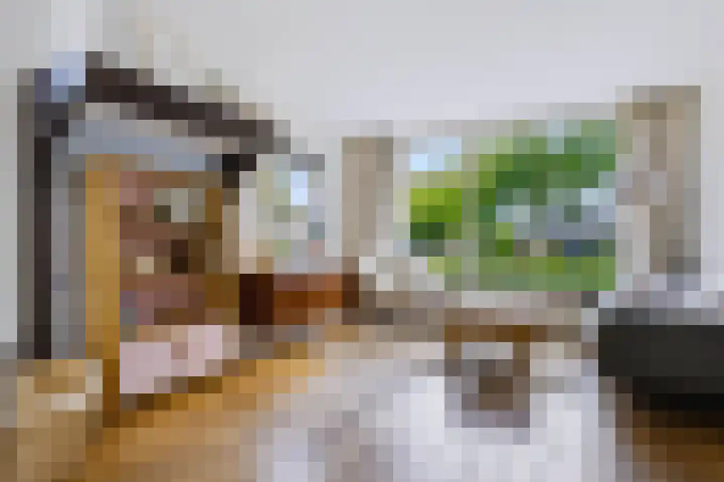 Platanenstraat 34 Zwartebroek thumbnail 7
