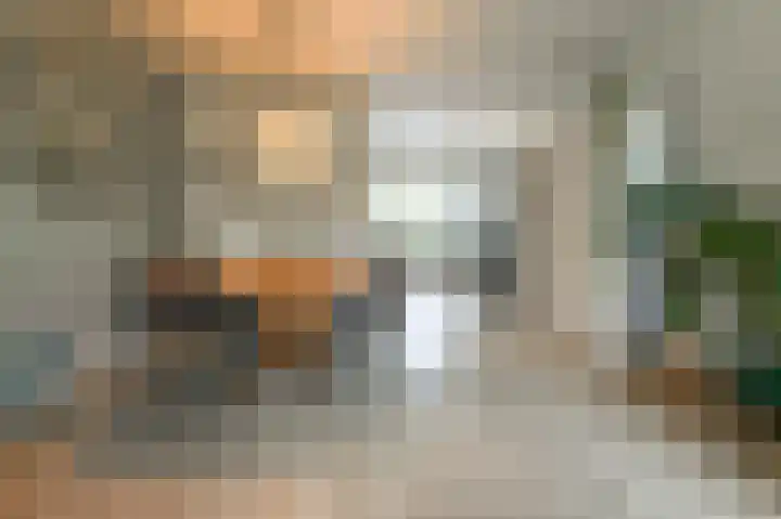 Platanenstraat 8 IJmuiden thumbnail 6