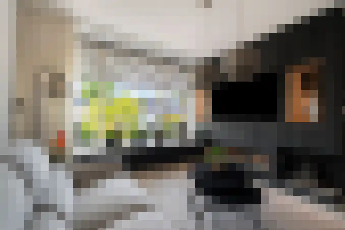 Platanenweg 23 Schagen thumbnail 9