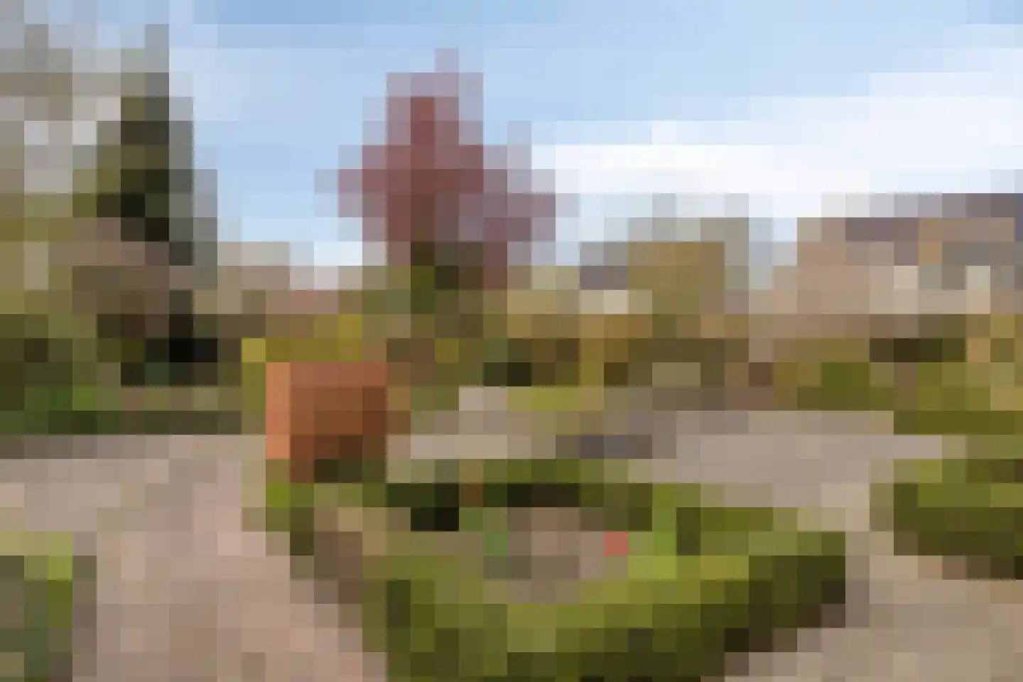 Platboslaan 16 Burgh-Haamstede thumbnail 27