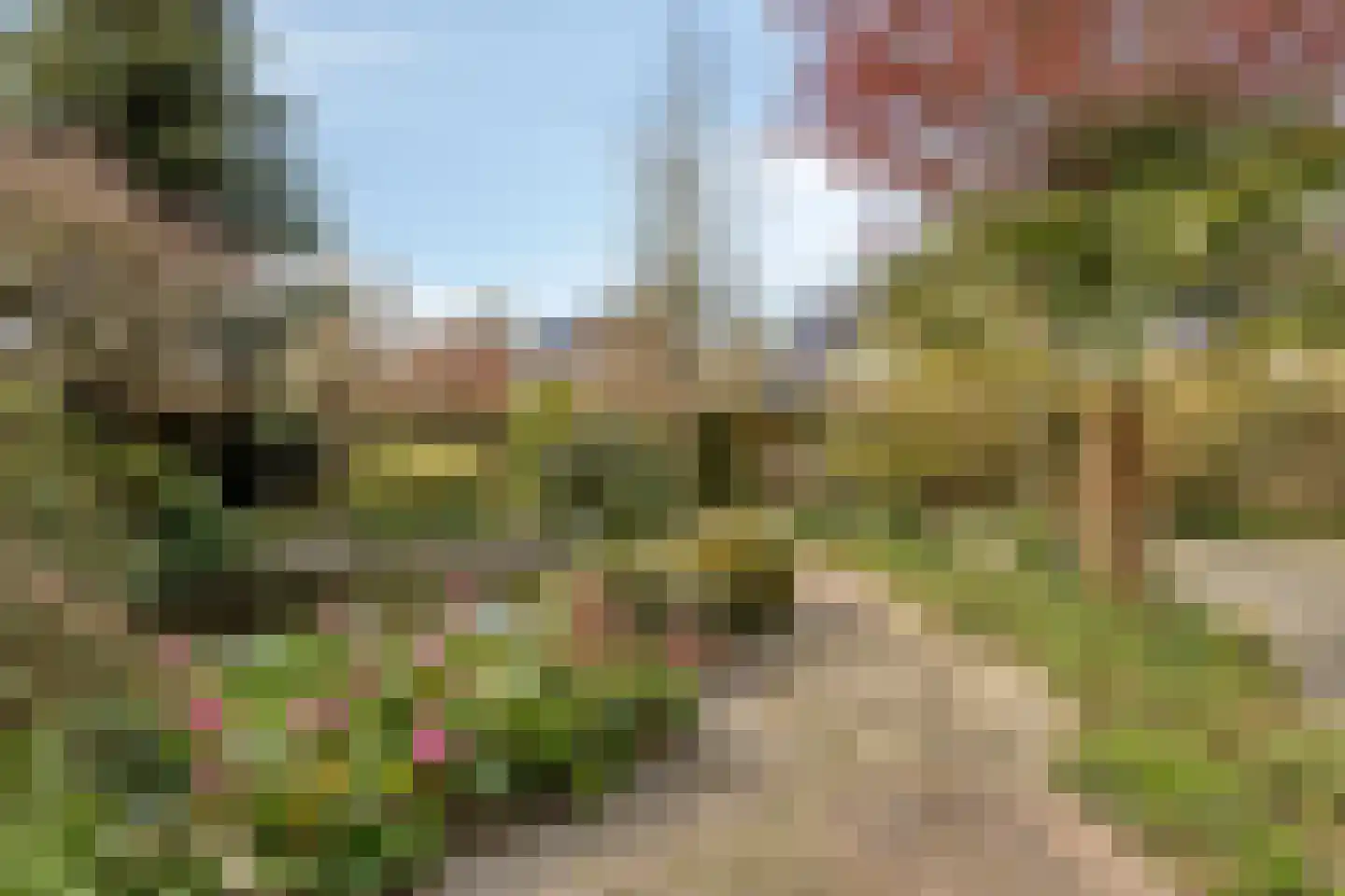 Platboslaan 16 Burgh-Haamstede thumbnail 28