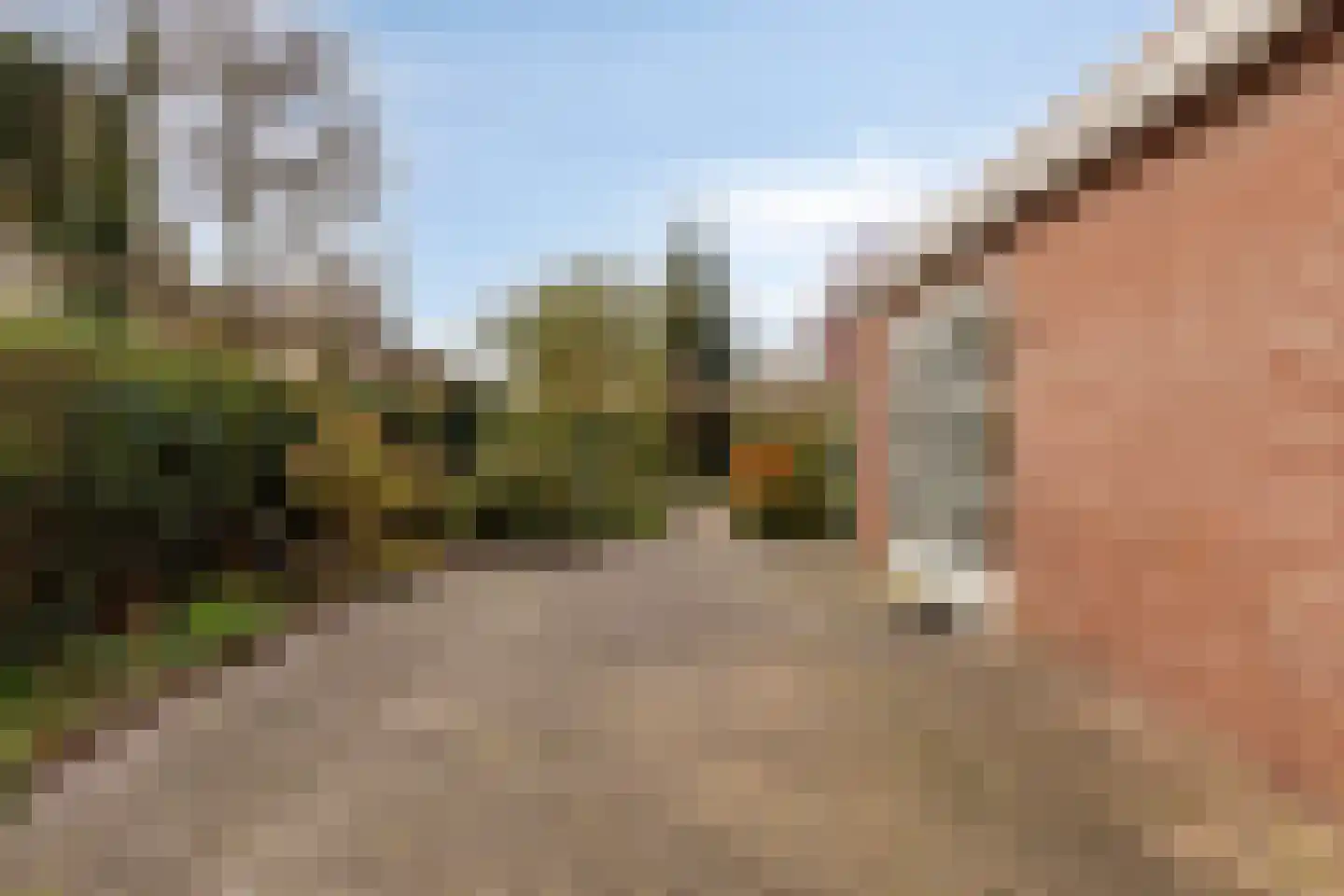 Platboslaan 16 Burgh-Haamstede thumbnail 30