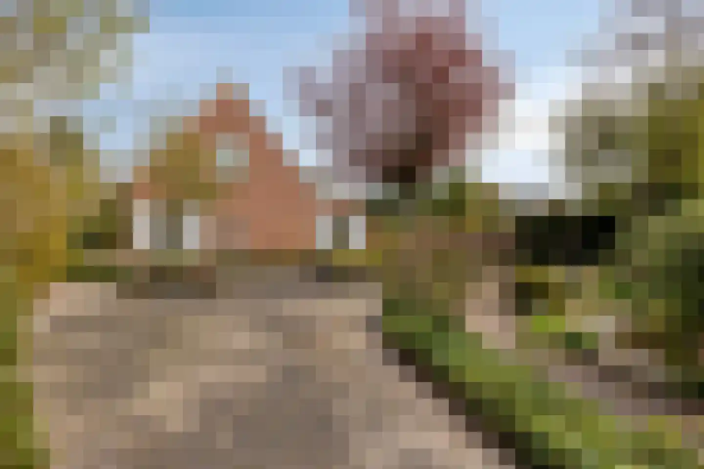 Platboslaan 16 Burgh-Haamstede thumbnail 32