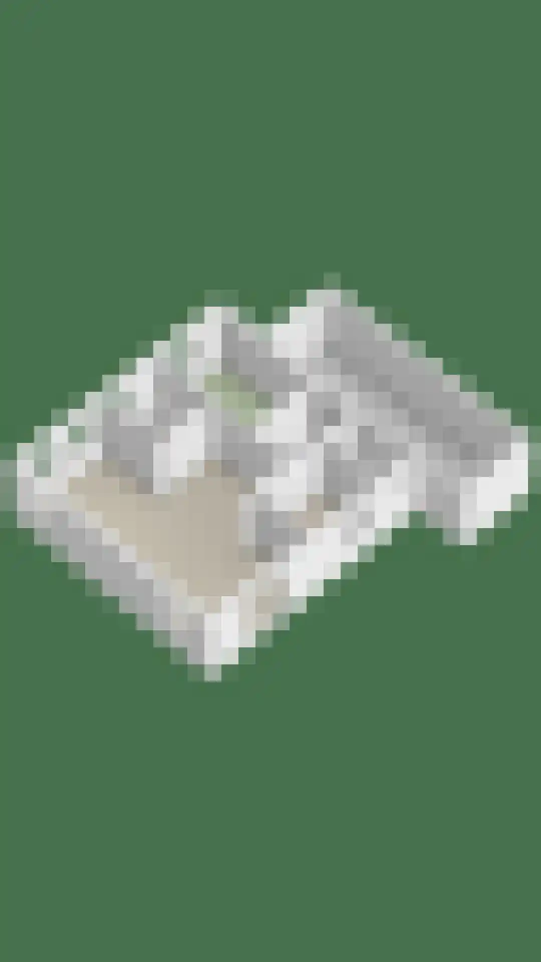Platboslaan 16 Burgh-Haamstede thumbnail 37