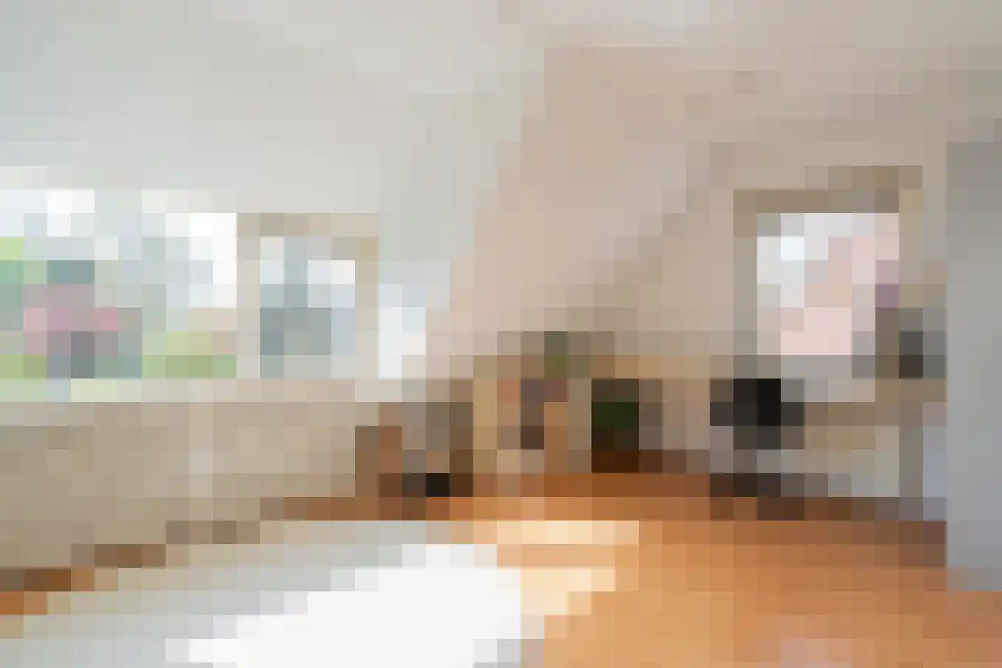 Platboslaan 26 Burgh-Haamstede thumbnail 14