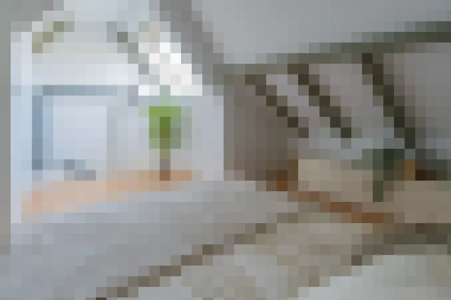 Platboslaan 26 Burgh-Haamstede thumbnail 21