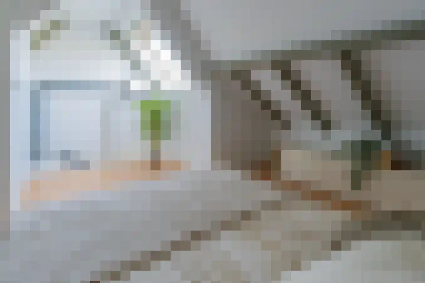 Platboslaan 26 Burgh-Haamstede thumbnail 21