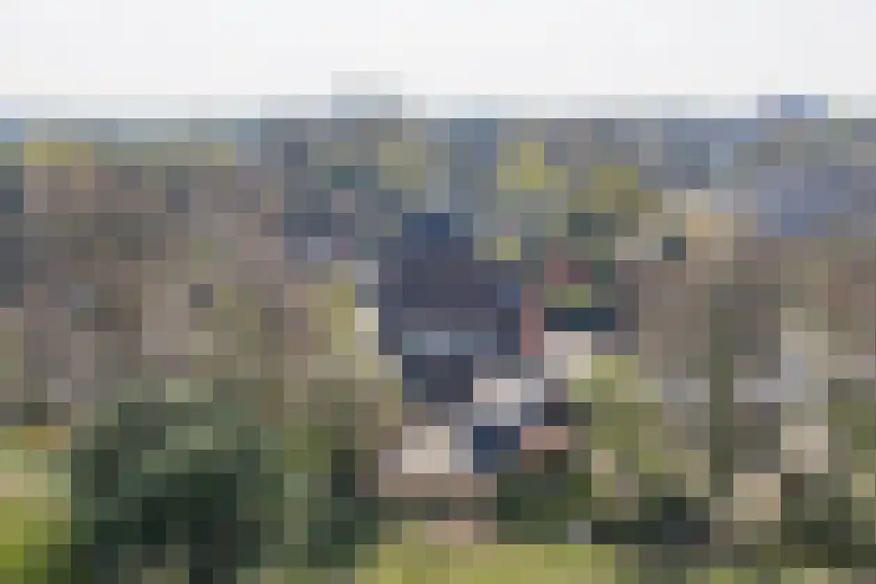 Platboslaan 26 Burgh-Haamstede thumbnail 31