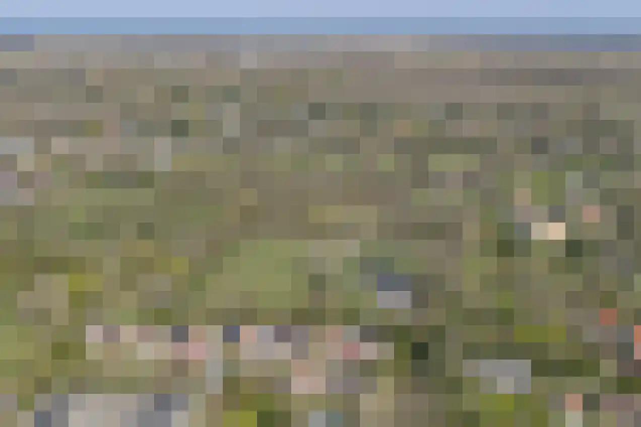Platboslaan 26 Burgh-Haamstede thumbnail 32