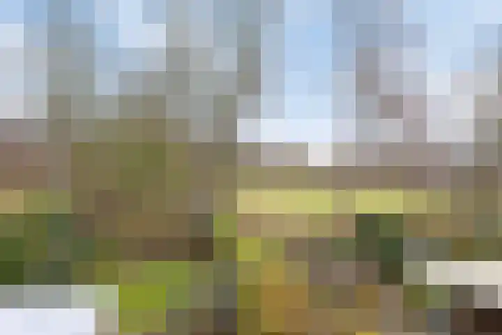 Platboslaan 38 Burgh-Haamstede thumbnail 16