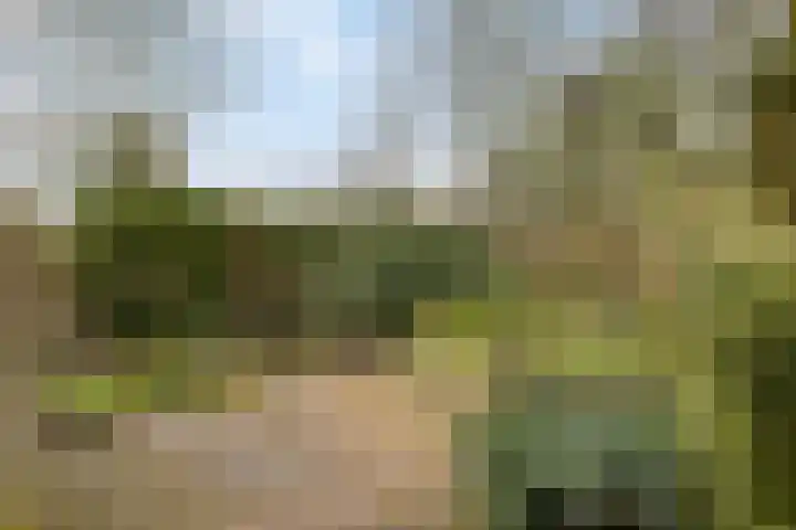 Platboslaan 38 Burgh-Haamstede thumbnail 17